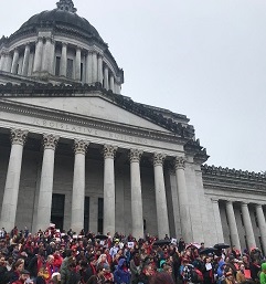HHAD 2018 Tess Attendees rallying on steps square
